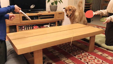 卓球をした時のビスコくん2