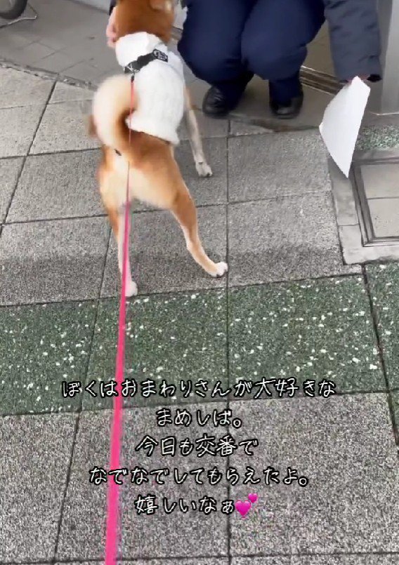 「今日もなでて～♡」