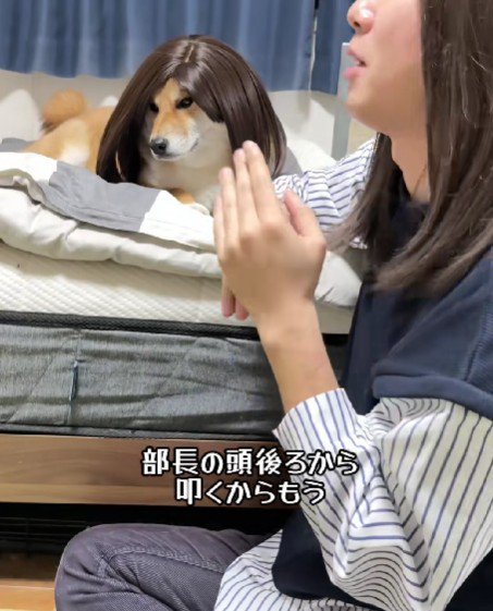 本当のオフィスみたい♪