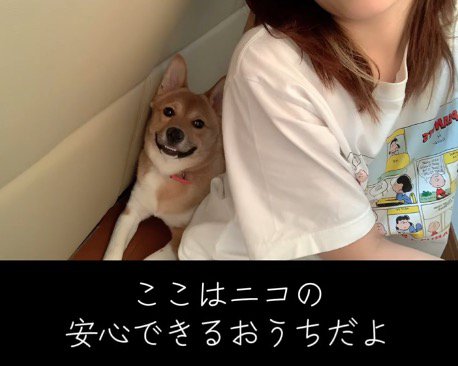 女性の後ろで笑みを浮かべる犬