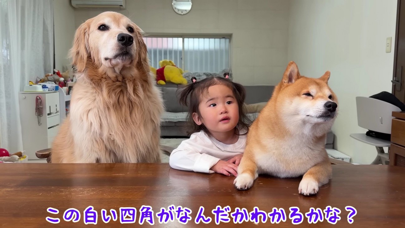 急いでテーブルの前へ