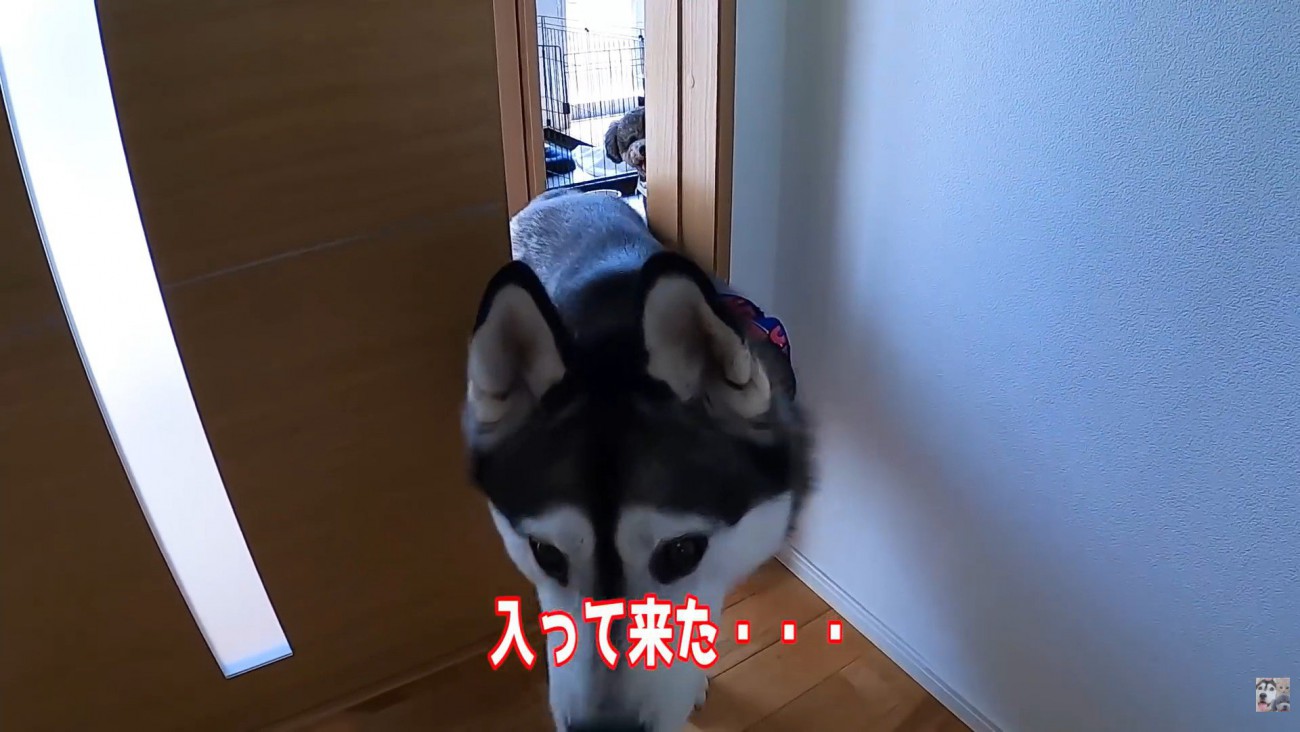 部屋の中へ