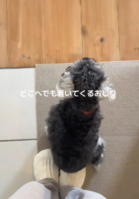 愛おしいアピールにキュン♡