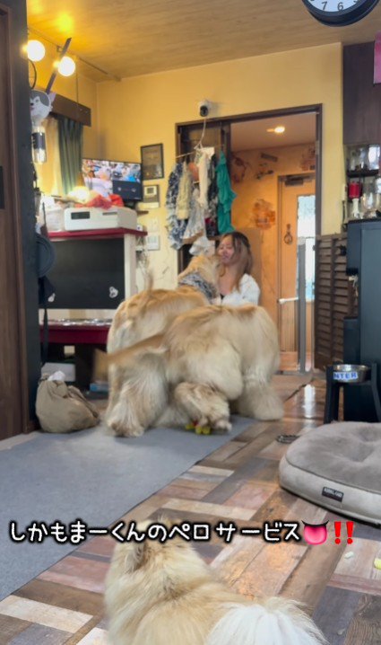 甘えが止まらない…