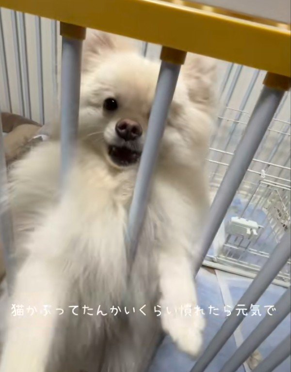 とっても元気な男の子♪