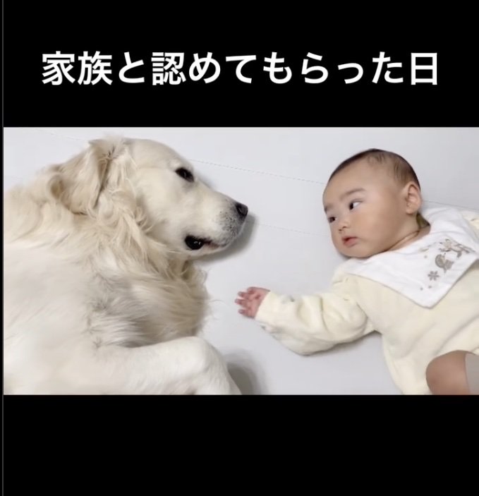 もう一度手を伸ばすと…