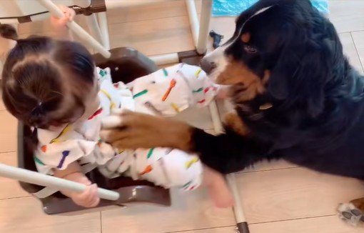 女の子を見守るダンロくん4