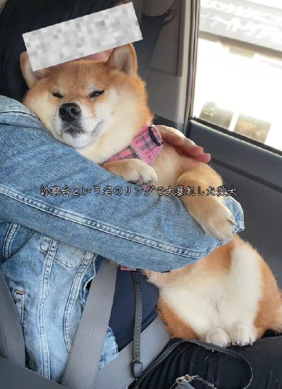 その日の昼も病院で大暴れしたそう