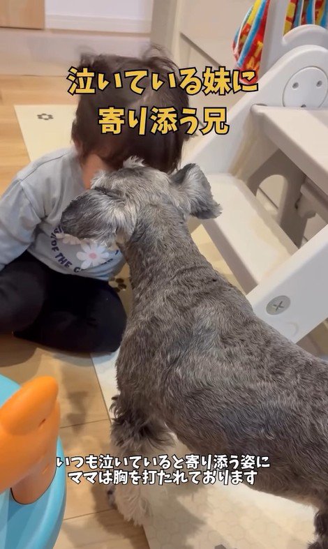 女の子に寄り添うこたろう君6