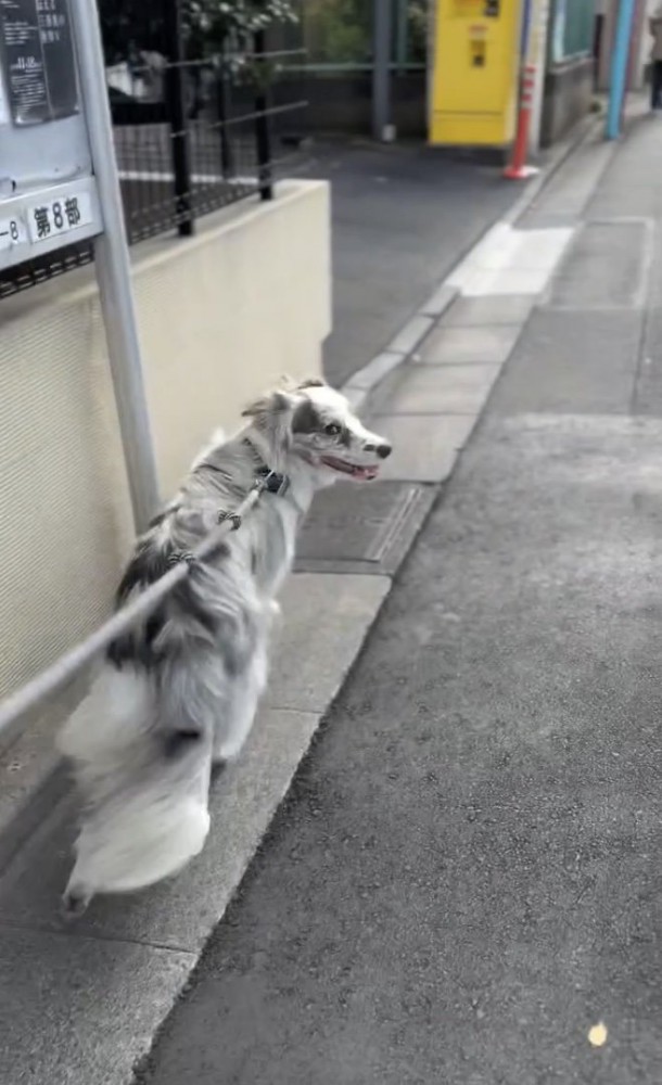 どんどん進みます