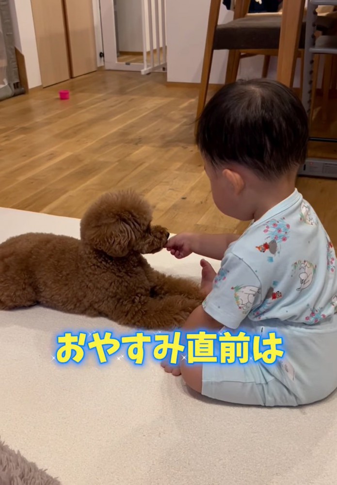 おやつをあげる男の子