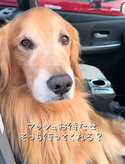明らかにいじけている