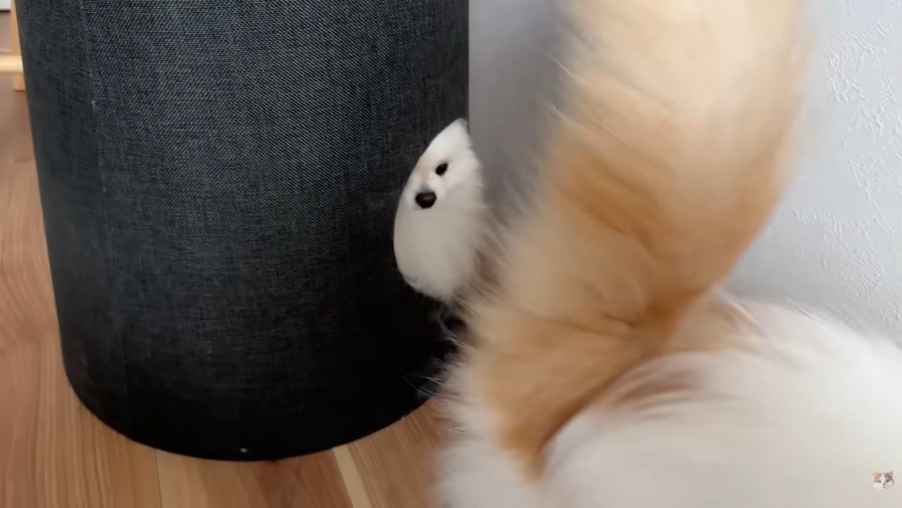 立ち去ってしまいました