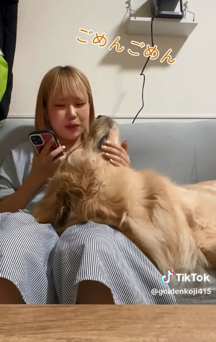 優しい飼い主さん