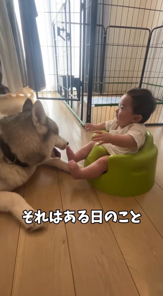 リビングでくつろぐ犬と赤ちゃん