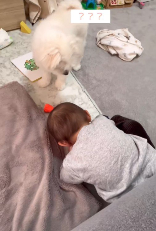 リリちゃんと赤ちゃん8