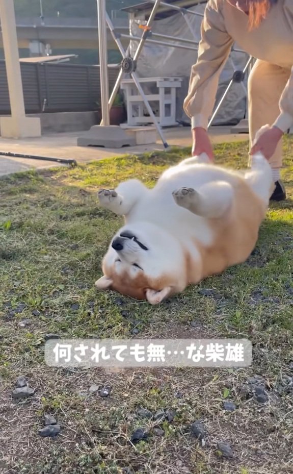 後ろ足を揺らすおばあちゃん