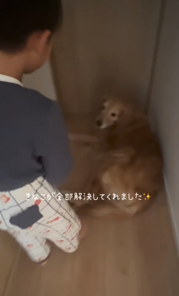 起き上がる男の子