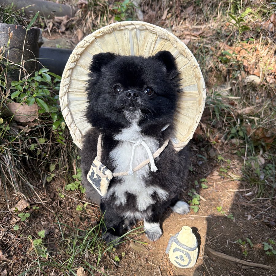 信楽焼