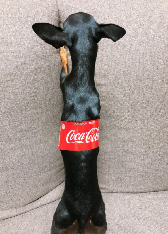 スタイル抜群な姿に感嘆！！