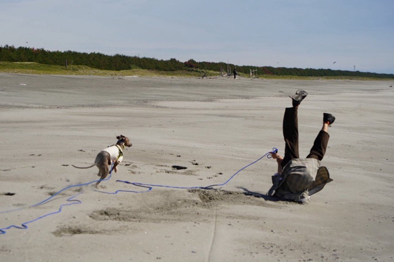 プットくんと海辺を走ったら