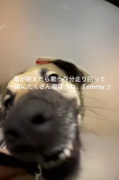 運命の出会いだったのかも！