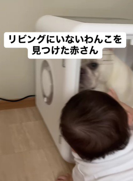 ドライヤーハウスを購入