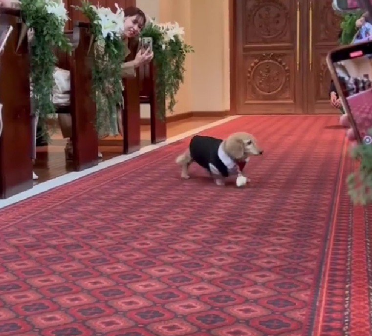 反対側の席も…