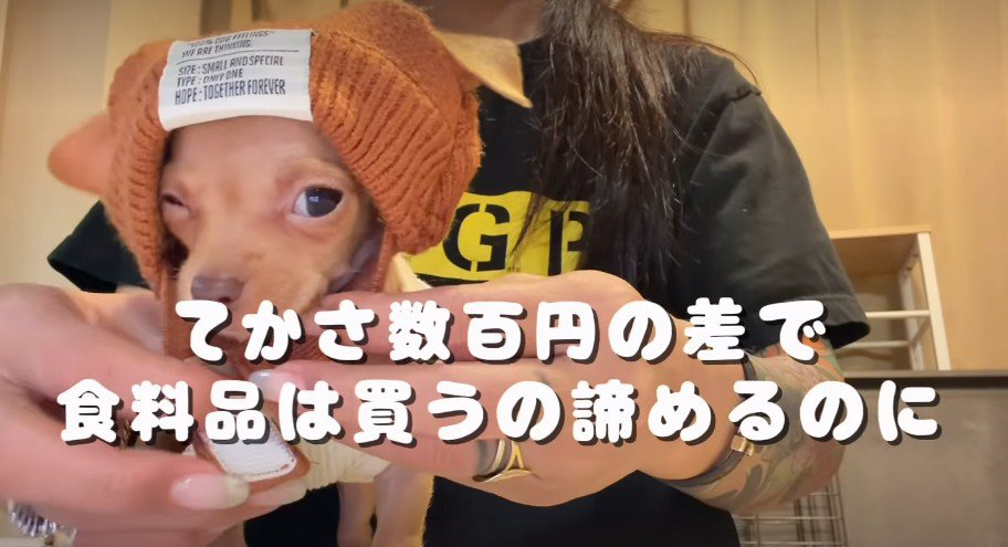 帽子を被ったら…