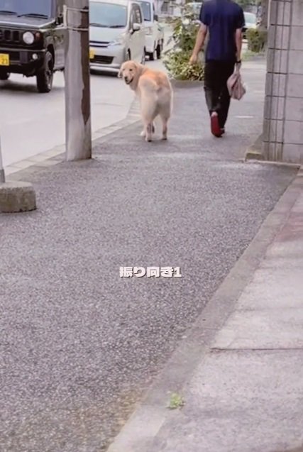 振り向き1回目のメルくん