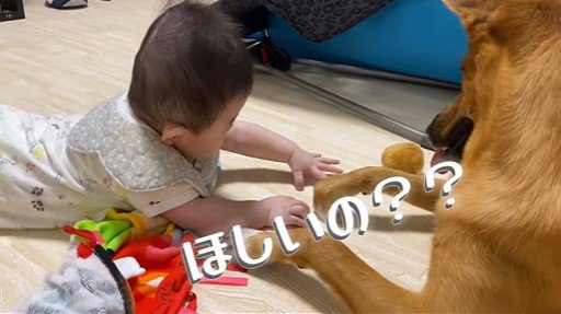 そらちゃんと赤ちゃん2