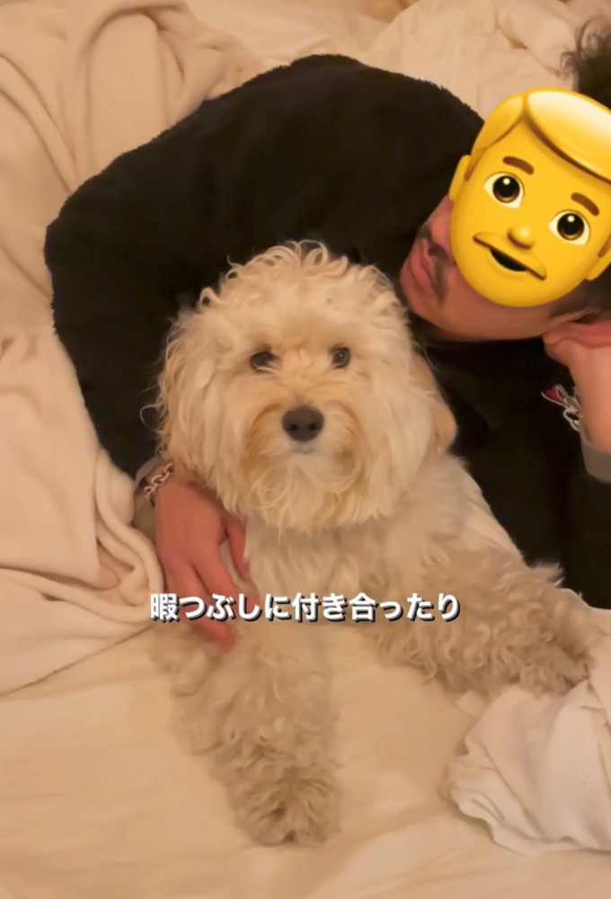 ベッドでぴったり寄り添う犬と人