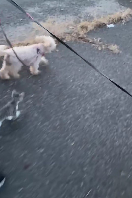 友達になりたかった？