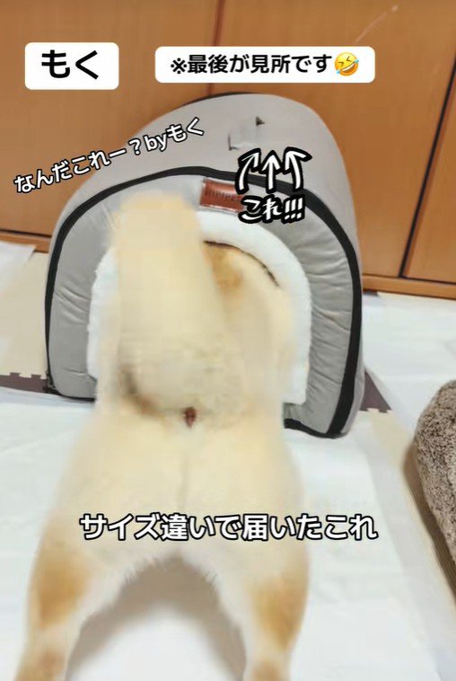 さっそく入ってみることに