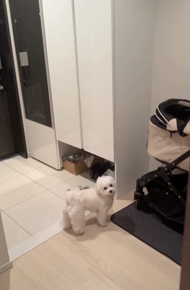 ひらめいた！！