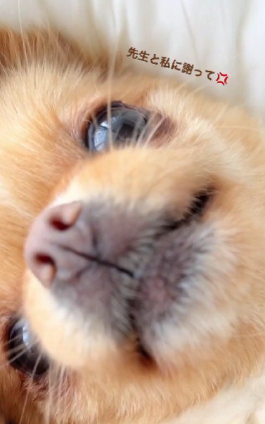 溺愛される芭ちゃんでした♡