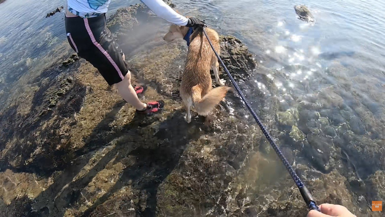 「大丈夫？気を付けてね」