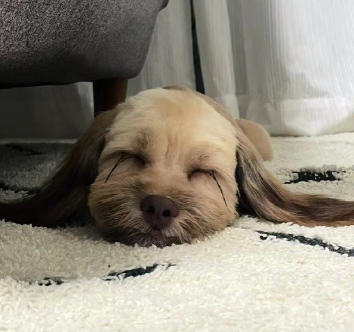 どんな姿も可愛いね！！