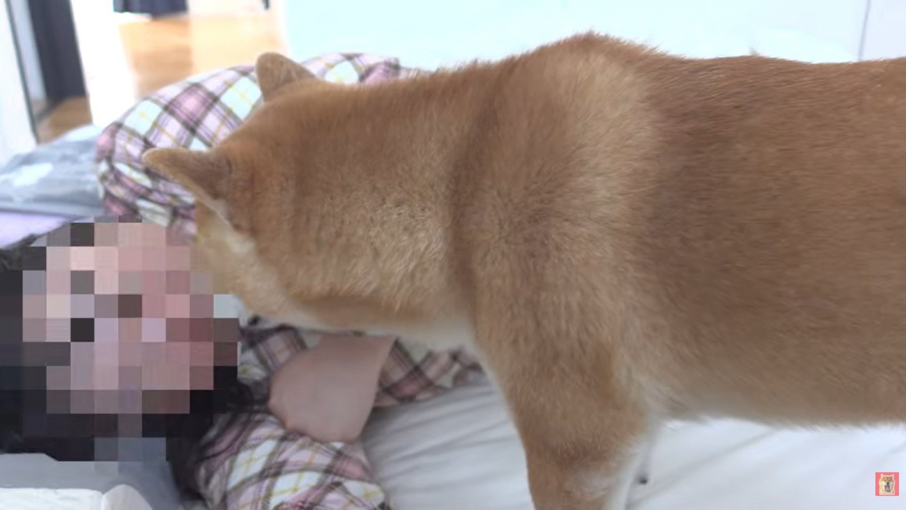 ママに顔を寄せるはちくん