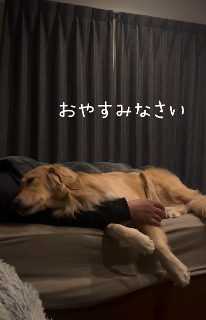 やっぱりパパの隣がいい…