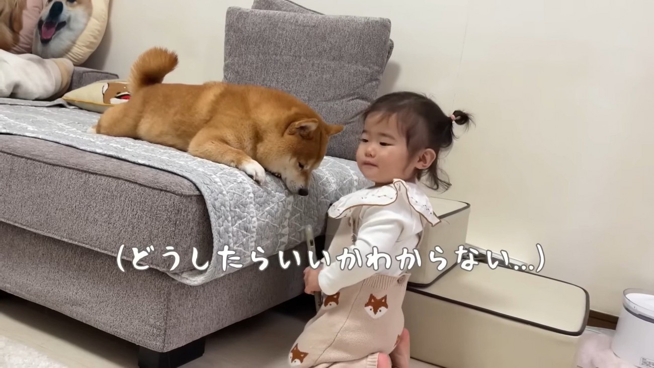 これ、どうやるの？