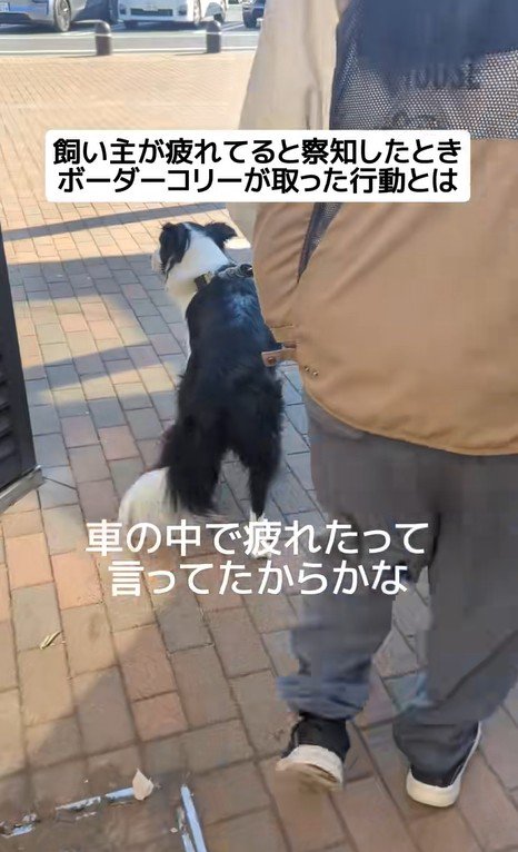 ジッピーくんの気遣い5