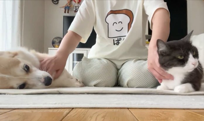 両手
