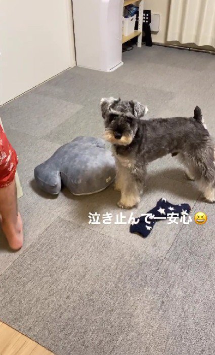 「やっと泣き止んだ」