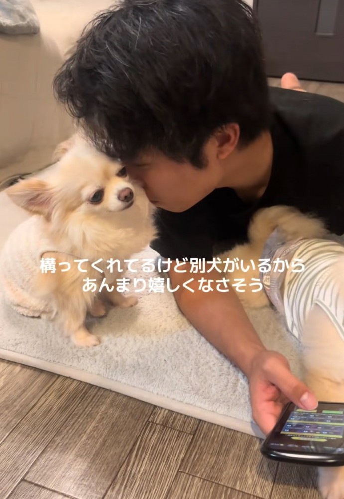 納得がいっていない犬
