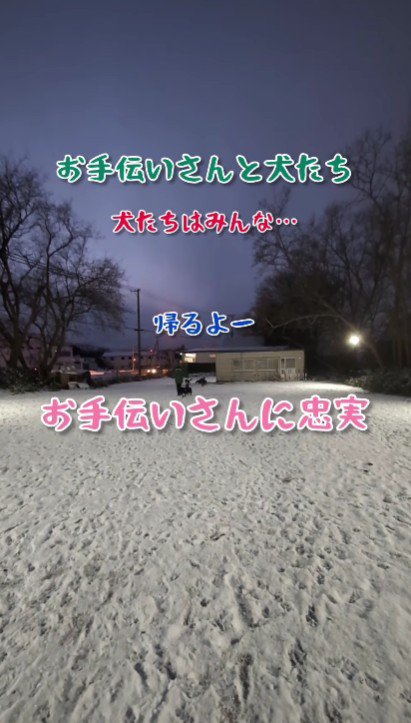 お手伝いさんは犬使い！？