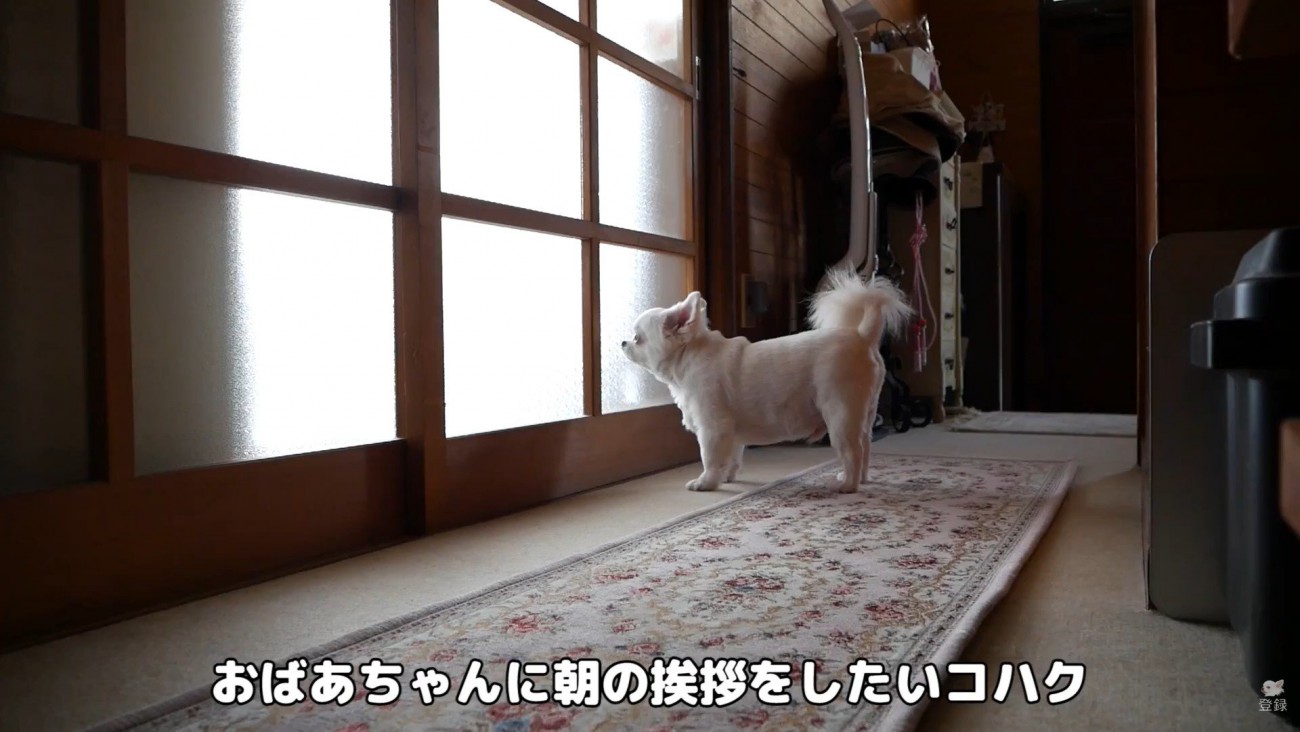 おばあちゃんに挨拶しにきました