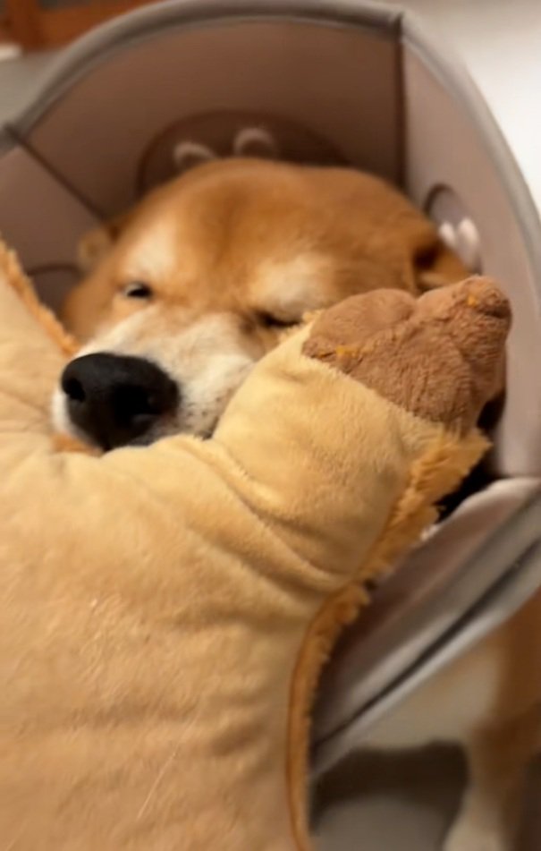 少し目が開いた長三郎くん