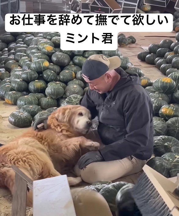 「なでてほしいな…」