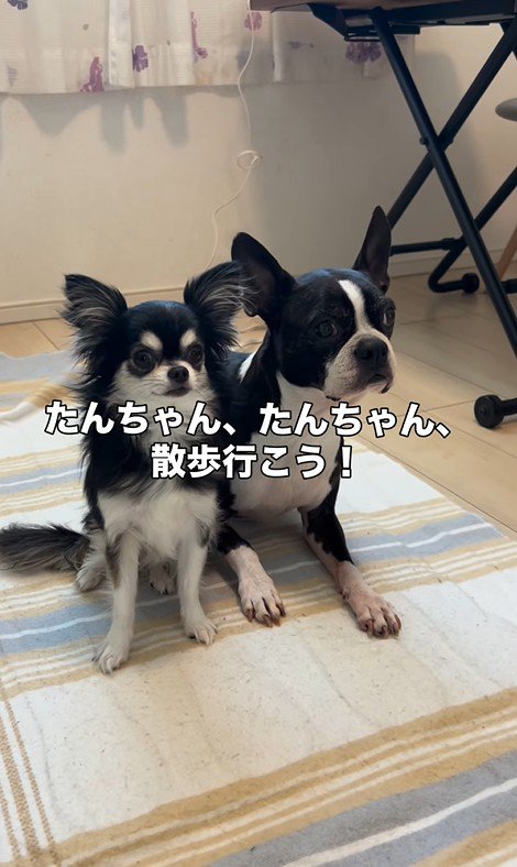 たま君と女の子の成長4